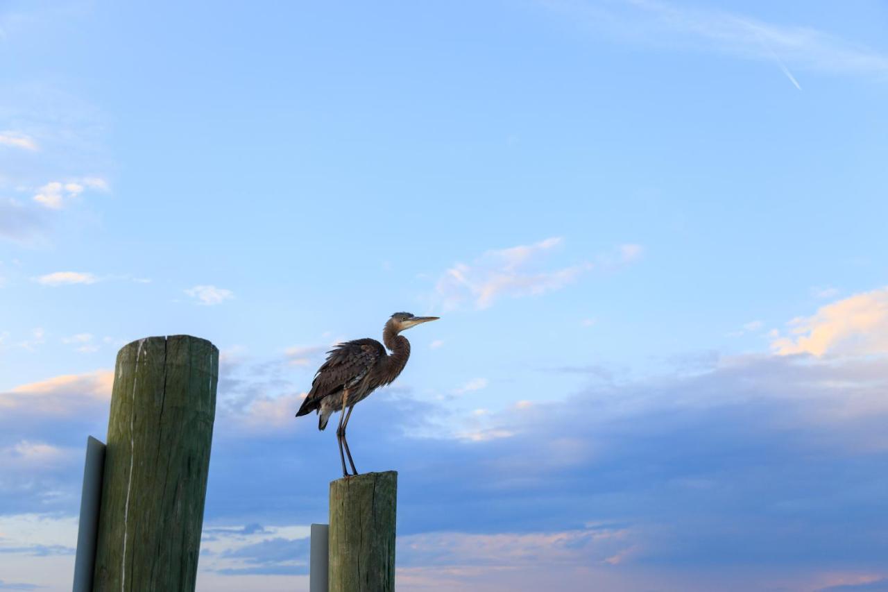 Heritage Villas Hilton Head Island Bagian luar foto